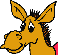 donkey-anim